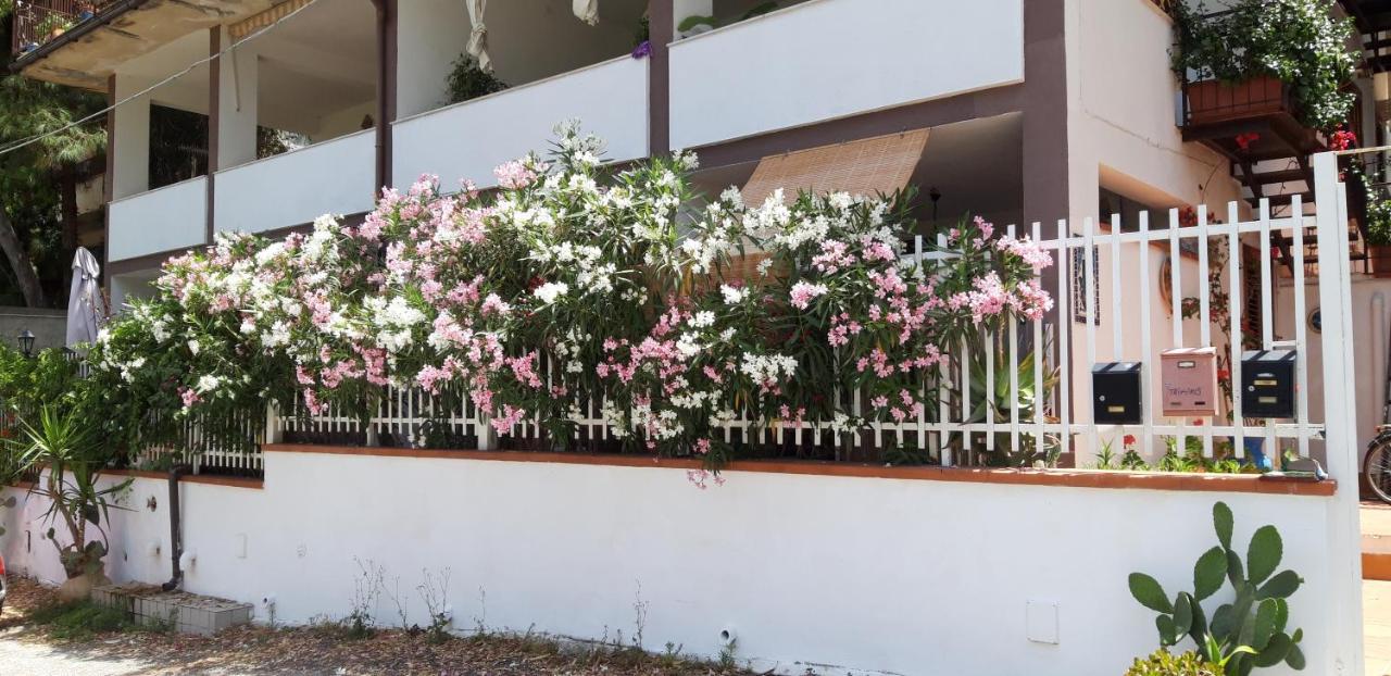 Апартаменты Casa Perciata - Locazione Turistica Монделло Экстерьер фото
